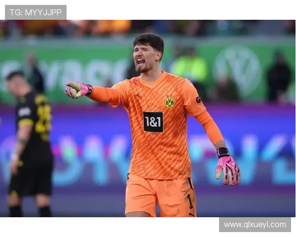 兹沃勒有意引进杜伊斯堡门将布劳内多家德乙英冠球队也在关注 兹沃勒有意引进杜伊斯堡门将布劳内多家德乙英冠球队也在关注